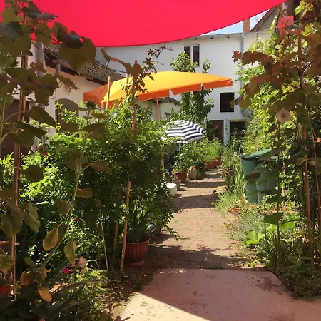 Apartment Trouve Doberlug-Kirchhain